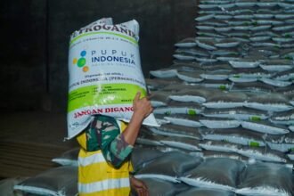 Masuki Musim Tanam, Pupuk Indonesia Siap Penuhi Kebutuhan Pupuk Bersubsidi di Madiun Raya