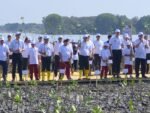 Jaga Pesisir Pantura, Pelindo Dukung Pemulihan Ekosistem Mangrove di Demak