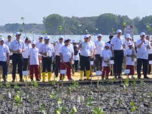 Jaga Pesisir Pantura, Pelindo Dukung Pemulihan Ekosistem Mangrove di Demak