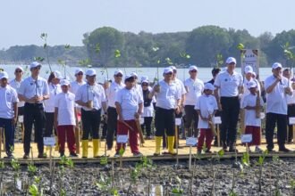 Jaga Pesisir Pantura, Pelindo Dukung Pemulihan Ekosistem Mangrove di Demak