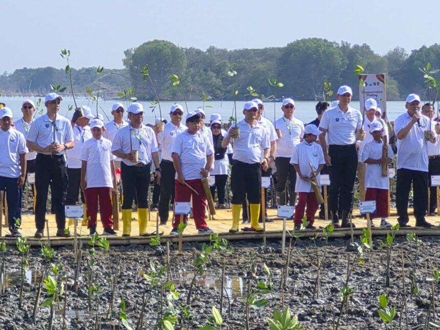 Jaga Pesisir Pantura, Pelindo Dukung Pemulihan Ekosistem Mangrove di Demak
