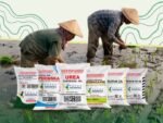 Aturan Penyaluran Pupuk Bersubsidi Dipangkas
