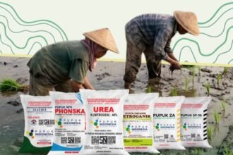 Aturan Penyaluran Pupuk Bersubsidi Dipangkas