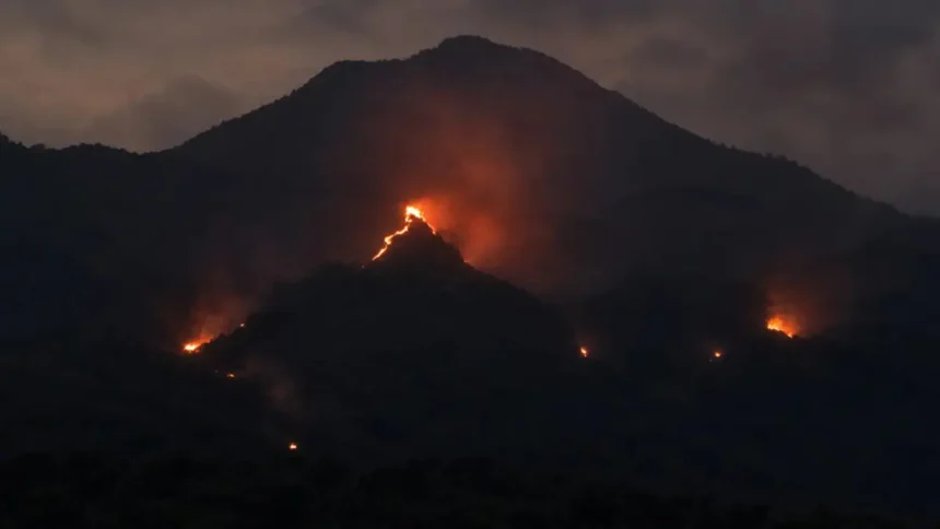 Dikepung Kobaran Api dan Asap Tebal, 110 Pendaki Gunung Arjuno Berhasil Dievakuasi Lewat Prigen
