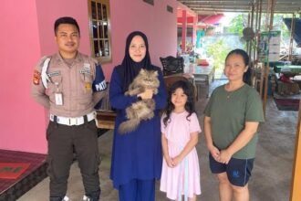 Happy Ending, Cimi si Kucing Persia Kembali ke Pelukan Pemilik Usai Sempat Diculik Tukang Mi Ayam
