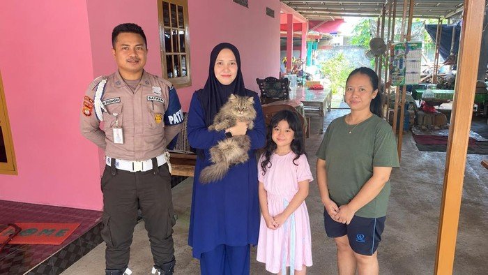 Happy Ending, Cimi si Kucing Persia Kembali ke Pelukan Pemilik Usai Sempat Diculik Tukang Mi Ayam