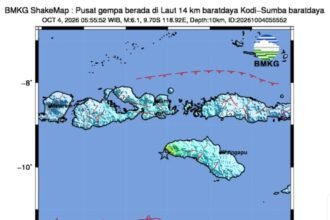 Badan Nasional Penanggulangan Bencana (BNPB)