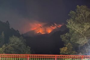 Darurat Karhutla di Jawa Tengah: Gunung Lawu, Sumbing, dan Pakuwaja Terbakar Serentak