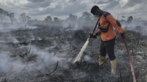 Karhutla Ancam Suaka Tanjung Puting, Presiden Prabowo Perintahkan Operasi Darat Skala Besar