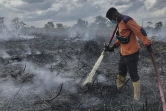 Karhutla Ancam Suaka Tanjung Puting, Presiden Prabowo Perintahkan Operasi Darat Skala Besar