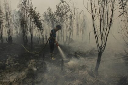 Karhutla Picu 277 Ribu Kasus ISPA, Kemenkes Bagikan 5,3 Juta Masker