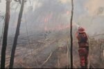 Kepulan Asap Gambut Masih Membayangi 37 Hotspot di OKI, Hujan Berhasil Pangkas Ribuan Titik Api