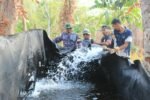 kebakaran hutan dan lahan (karhutla)