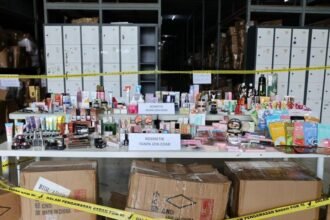 Bisa Rusak Organ Tubuh, Ini Daftar Lengkap 38 Obat Herbal dan Jamu Berbahaya Temuan BPOM