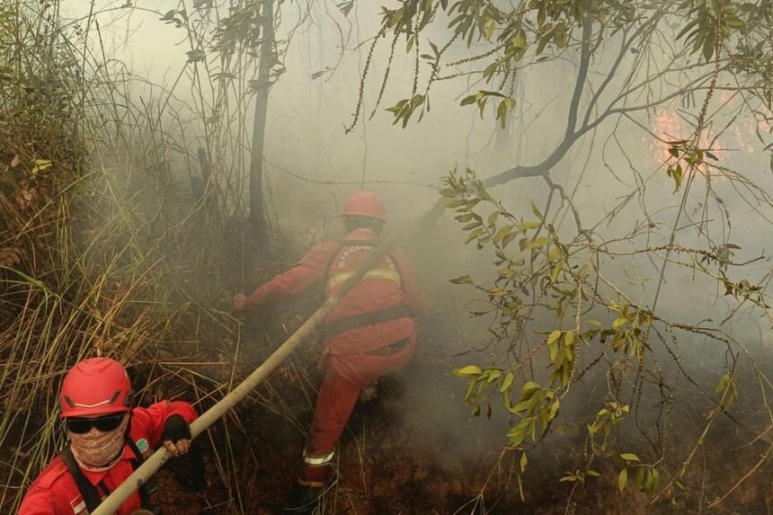 Empat Bulan Berjibaku Padamkan Karhutla Sumsel, Kesehatan Personel Manggala Agni Mulai Tumbang