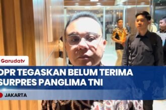 Isu Pergantian Panglima TNI Santer Beredar, Dasco Tegaskan DPR Belum Terima Surpres