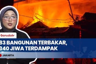 Update Kebakaran Kramat Pulo Senen: 83 Bangunan Hangus, 340 Jiwa Mengungsi