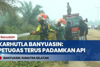 Karhutla Banyuasin: Tim Gabungan Terus Lakukan Pemadaman & Gandeng Relawan Pemadam Asal Brasil