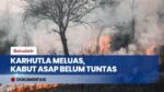 Karhutla Meluas Capai 879 Hektare, Kabut Asap Pekat Selimuti Wilayah Kalimantan