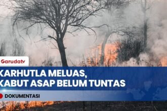 Karhutla Meluas Capai 879 Hektare, Kabut Asap Pekat Selimuti Wilayah Kalimantan