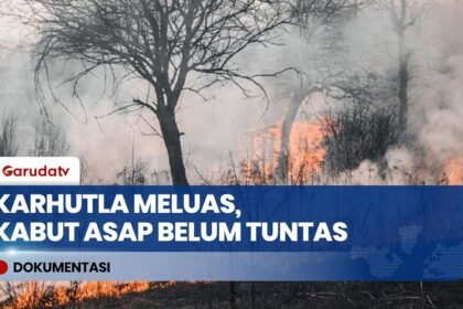 Karhutla Meluas Capai 879 Hektare, Kabut Asap Pekat Selimuti Wilayah Kalimantan