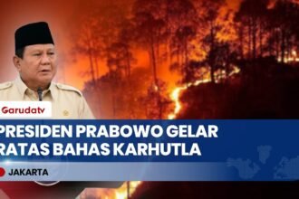 Soroti Isu Kabut Asap hingga Negara Tetangga, Presiden Prabowo Gelar Ratas Daring Bahas Karhutla