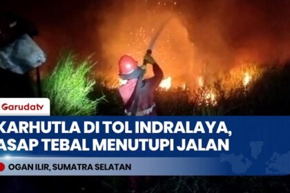 Asap Tebal Tutupi Jalan, Karhutla Hanguskan Lahan di Sisi Tol Indralaya-Palembang KM 06