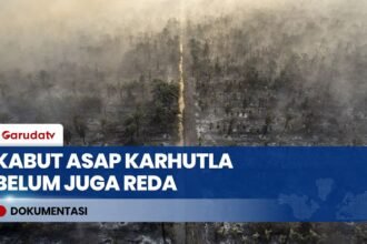 Kategori Sangat Berbahaya! Asap Karhutla Masih Menyelimuti Permukiman & Lumpuhkan Jarak Pandang