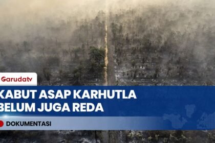 Kategori Sangat Berbahaya! Asap Karhutla Masih Menyelimuti Permukiman & Lumpuhkan Jarak Pandang