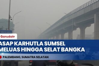 Terbawa Angin Timur Tenggara, BMKG Catat Sebaran Asap Karhutla Sumsel Meluas ke Selat Bangka & Jambi
