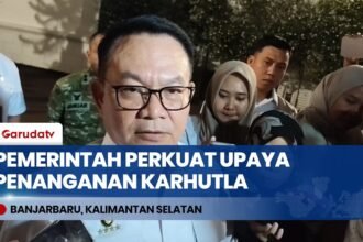 Kerahkan Puluhan Ribu Personel & Armada Udara, Menko Polkam Sebut Penanganan Karhutla Masih Teratasi