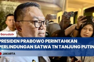 Lindungi Satwa Langka, Presiden Prabowo Perintahkan Fokus Pemadaman Karhutla di TN Tanjung Puting