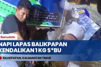 Napi Lapas Balikpapan Diduga Pesan Sabu via Ponsel, Polda Kaltim Amankan Barang Bukti Kristal Bening