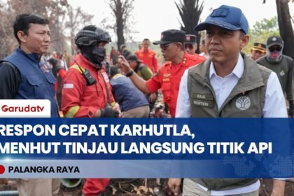 Respon Cepat Karhutla, Menteri Kehutanan Tinjau Langsung Pemadaman di Taman Nasional Sebangau