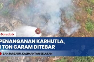 Atasi Karhutla Seluas 50 Hektare di Kalsel, Satgas Tebar 1 Ton Garam & Guyur 484 Ribu Liter Air