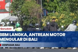BBM Langka di Bali: Antrean Motor Mengular Hingga ke Jalan Raya, Ojol Rela Rugi Waktu Kerja