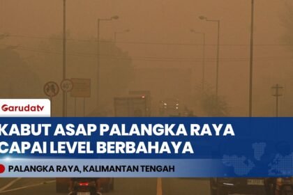Kabut Asap Karhutla di Palangka Raya Capai Level Bahaya: Langit Menguning & Kualitas Udara Memburuk