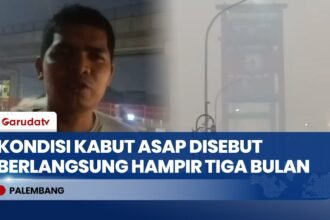 Kualitas Udara Memburuk Akibat Asap Karhutla, Kasus ISPA di Sumatra Selatan Tembus 416 Ribu Jiwa