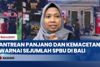Krisis BBM Belum Mereda, Pemprov Bali Resmi Berlakukan WFH dan Sekolah Daring Tiga Hari