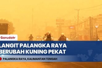 37 Hari Kualitas Udara Palangka Raya Berbahaya, Langit Berubah Kuning Dikepung Kabut Asap Pekat