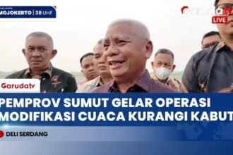 Atasi Pekatnya Kabut Asap, Pesawat Cessna Semai Awan di Langit Medan, Binjai, dan Deli Serdang