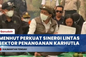 Tinjau Karhutla di Tanjung Puting, Menhut Raja Juli Antoni Perkuat Koordinasi dengan Relawan & Warga