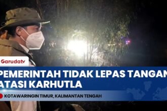 Tinjau Langsung Karhutla di Sampit, Menhut Raja Juli Antoni Tegaskan Pemerintah Tidak Lepas Tangan