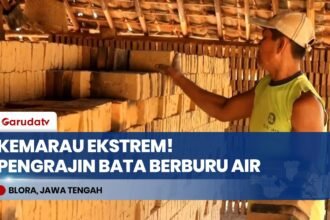 Kemarau Ekstrem di Blora, Pengrajin Bata Merah Rela Berburu Air Bersih Sejauh 2 Kilometer