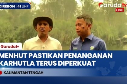 Karhutla Kalimantan Tengah: Pemerintah Optimalkan Water Bombing hingga Modifikasi Cuaca
