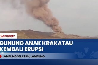 Gunung Anak Krakatau Kembali Erupsi, Tinggi Letusan Capai 500 Meter