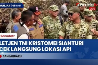 Kepala BNPB Tinjau Karhutla Banjarbaru, Siapkan Tambahan Armada dan Personel Pemadam