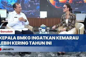 BMKG Peringatkan Kemarau Panjang dan El Nino, Minta Pemerintah Dini Antisipasi Kekeringan