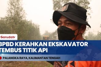 BPBD Palangka Raya Kerahkan Ekskavator Buka Akses Jalan Menuju Titik Api Karhutla