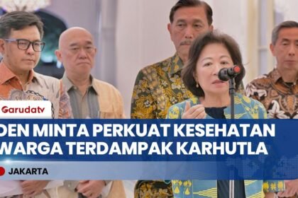 DEN Minta Pemerintah Perkuat Layanan Kesehatan Warga Terdampak Karhutla di Sumatera & Kalimantan